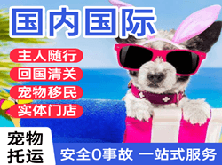 海西花土沟空运代理国际宠物托运 【国